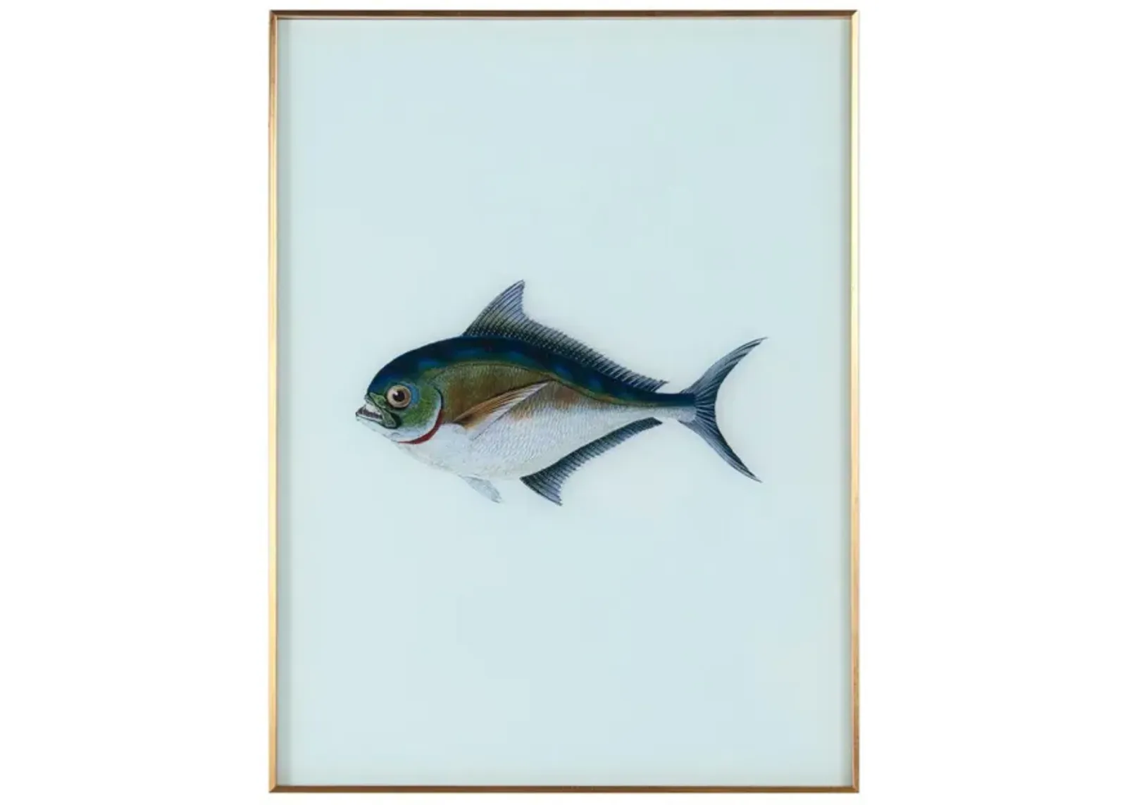 Framed Fish Print in Sea Spray