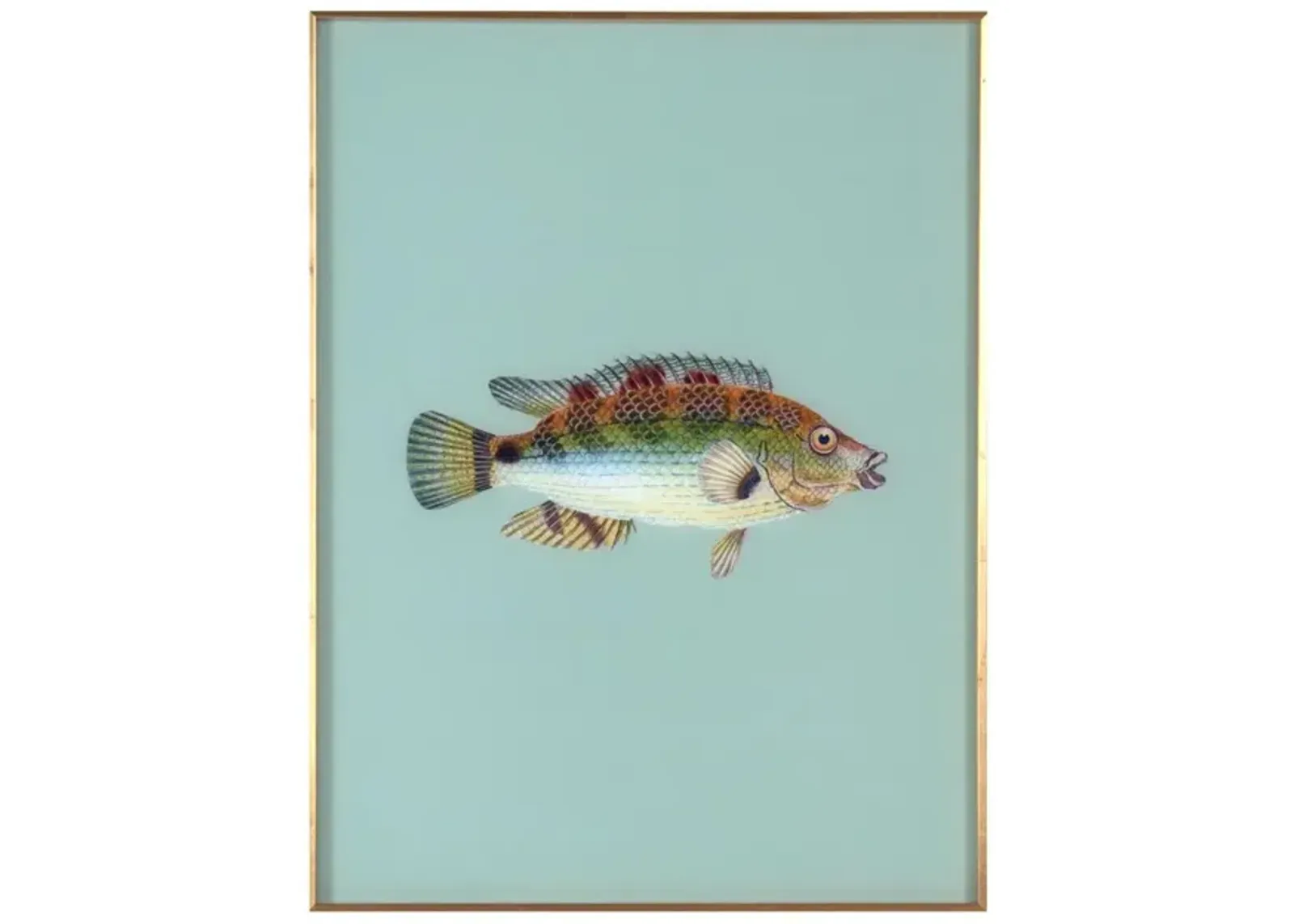 Framed Fish Print in Seagrass