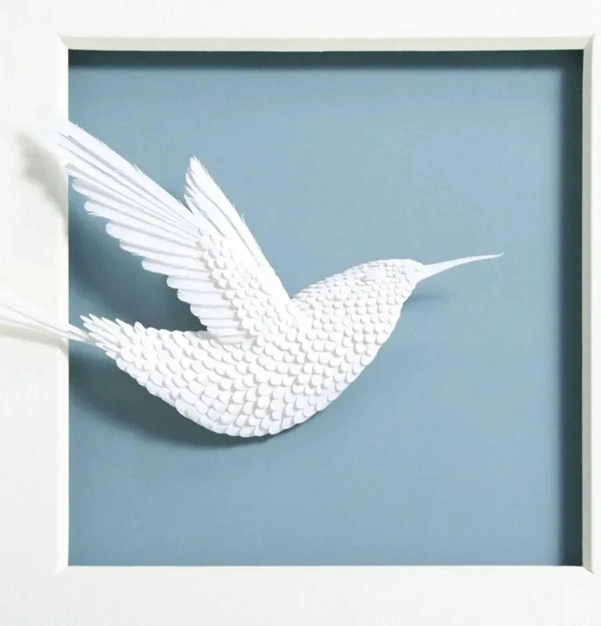 Aviary Framed Art - Coleto