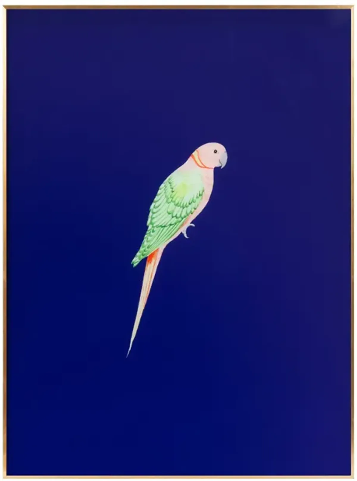 Tropical Bird Series - Blue