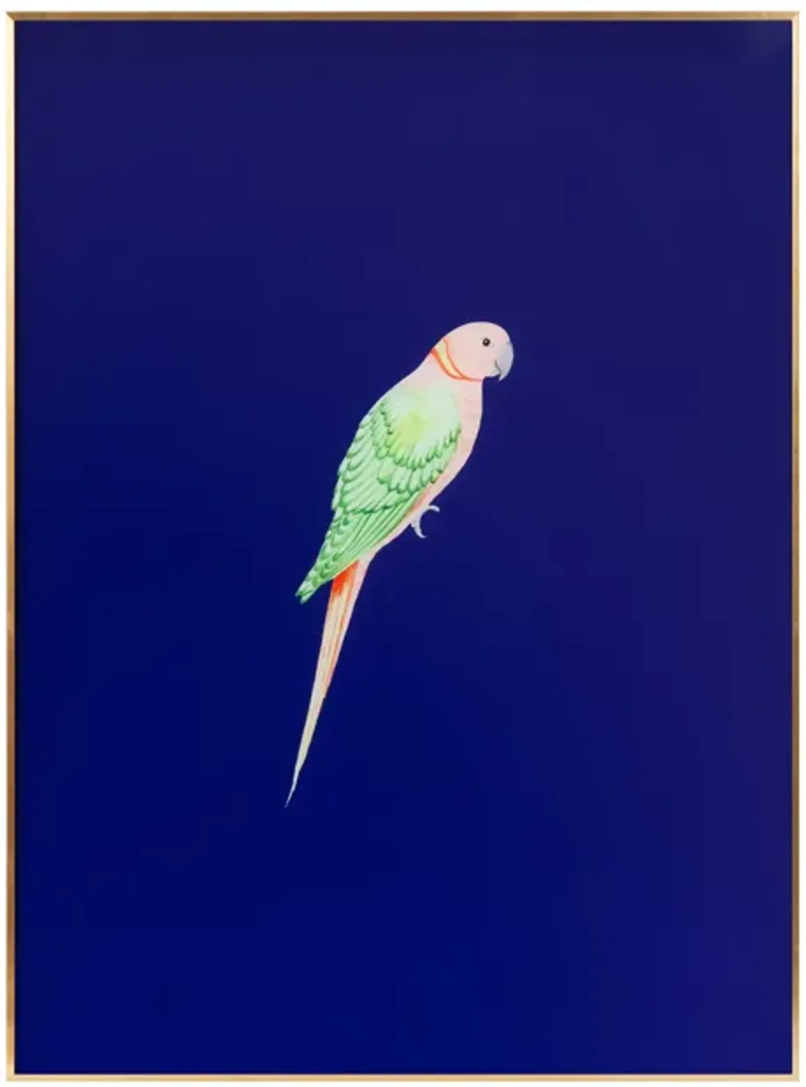 Tropical Bird Series - Blue