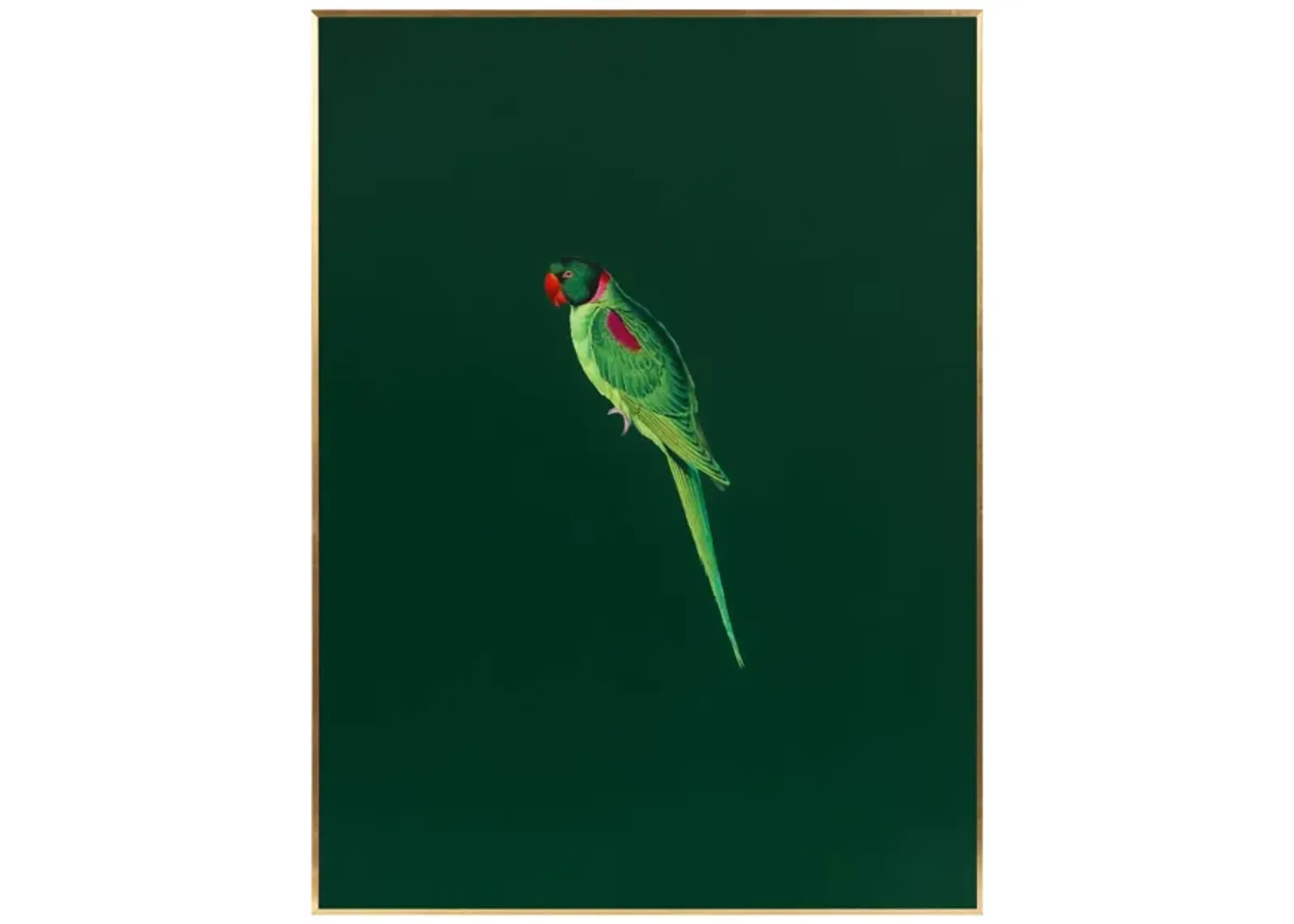 Tropical Bird Series - Dark Green