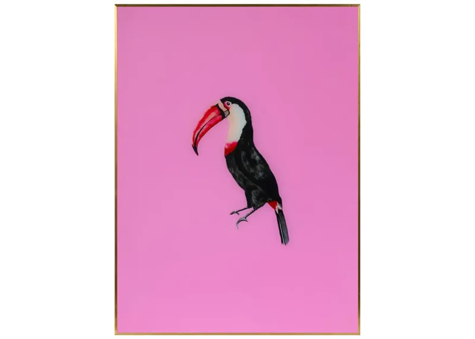 Tropical Bird Series - Pink