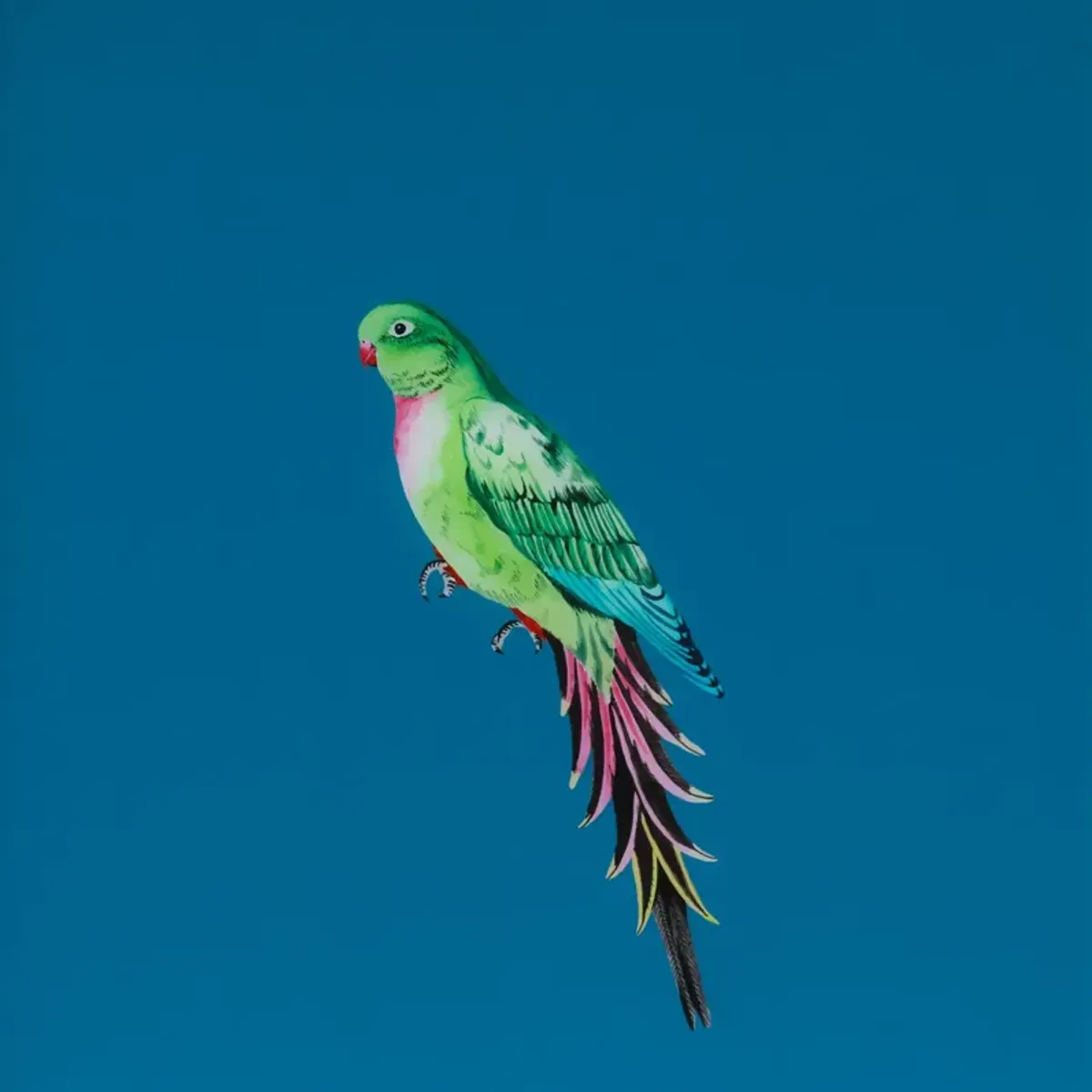 Tropical Bird Series - Teal