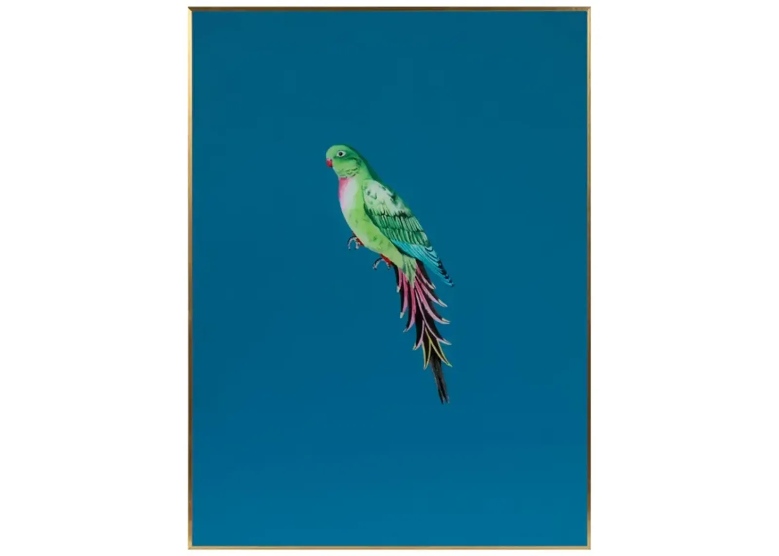 Tropical Bird Series - Teal