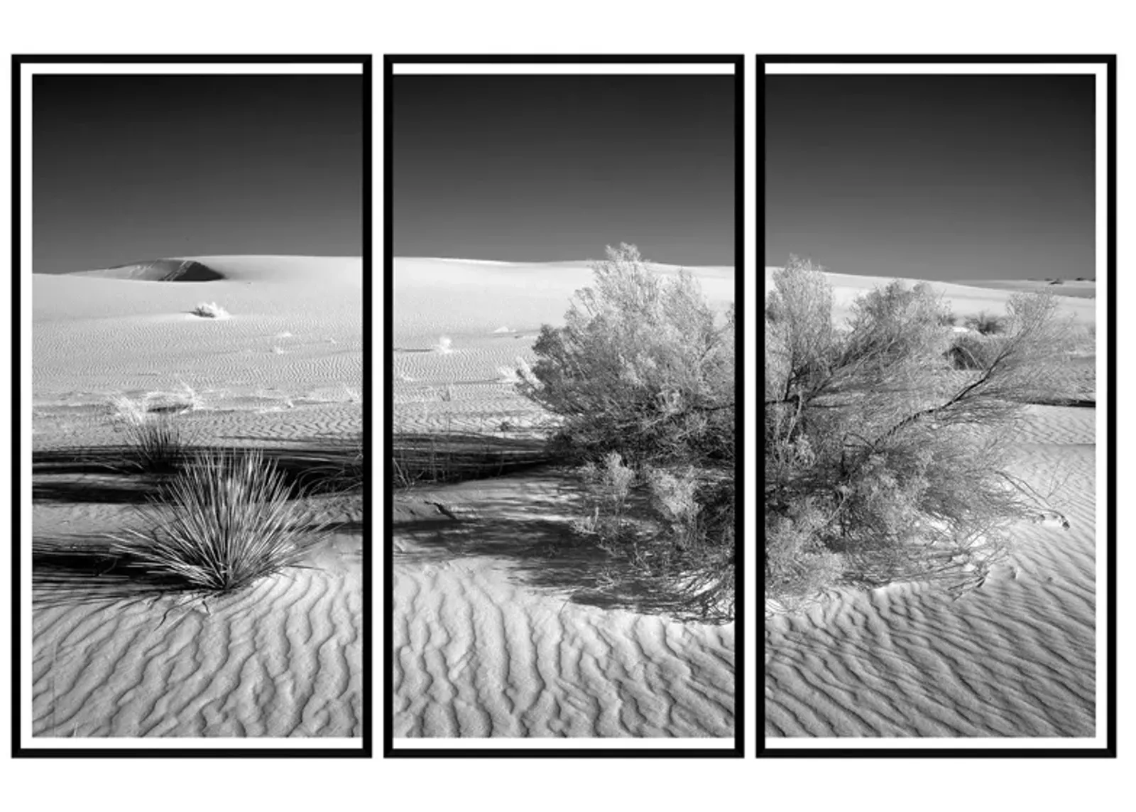 'Mojave Desert, California' Triptych Art