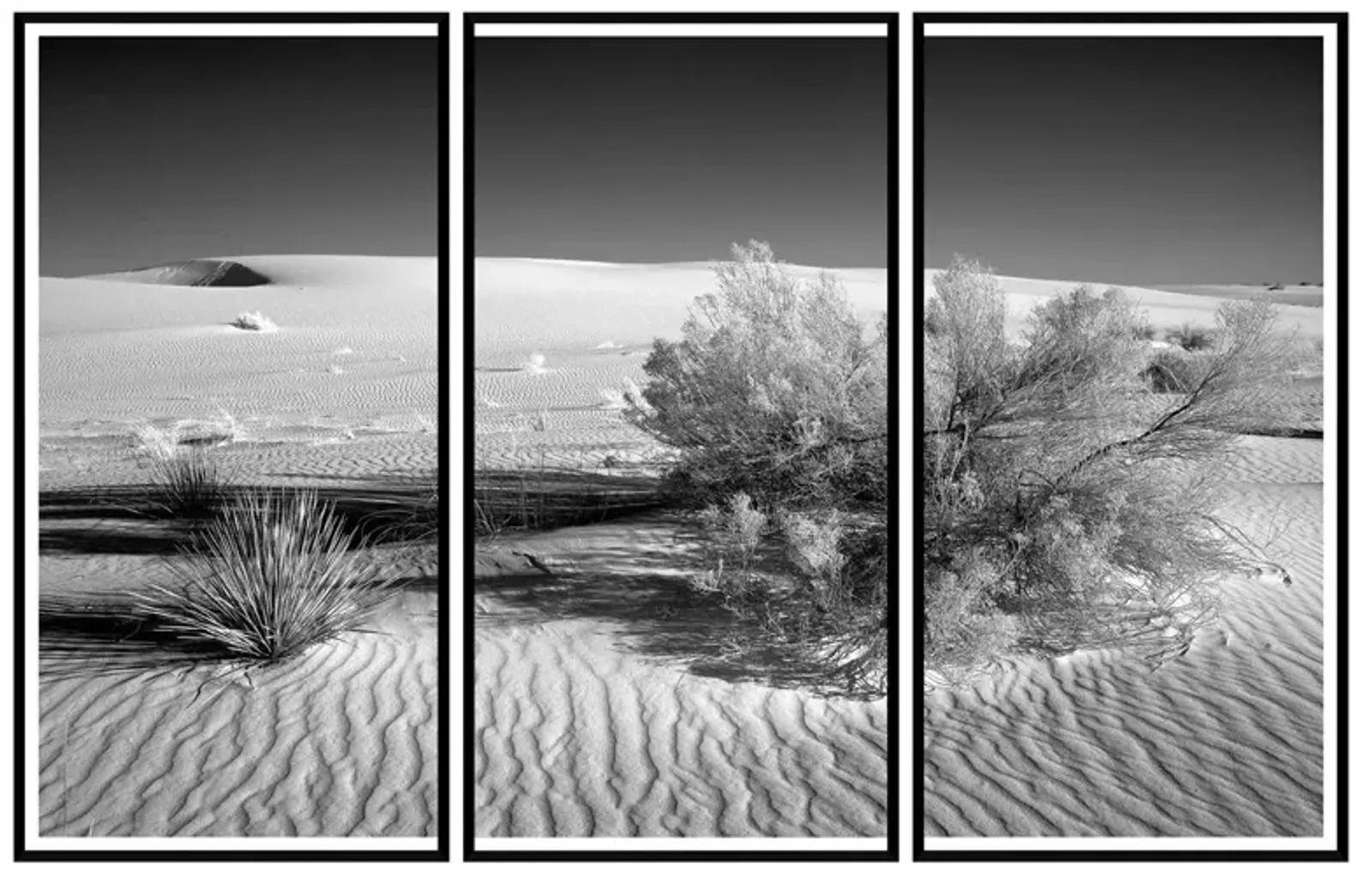 'Mojave Desert, California' Triptych Art