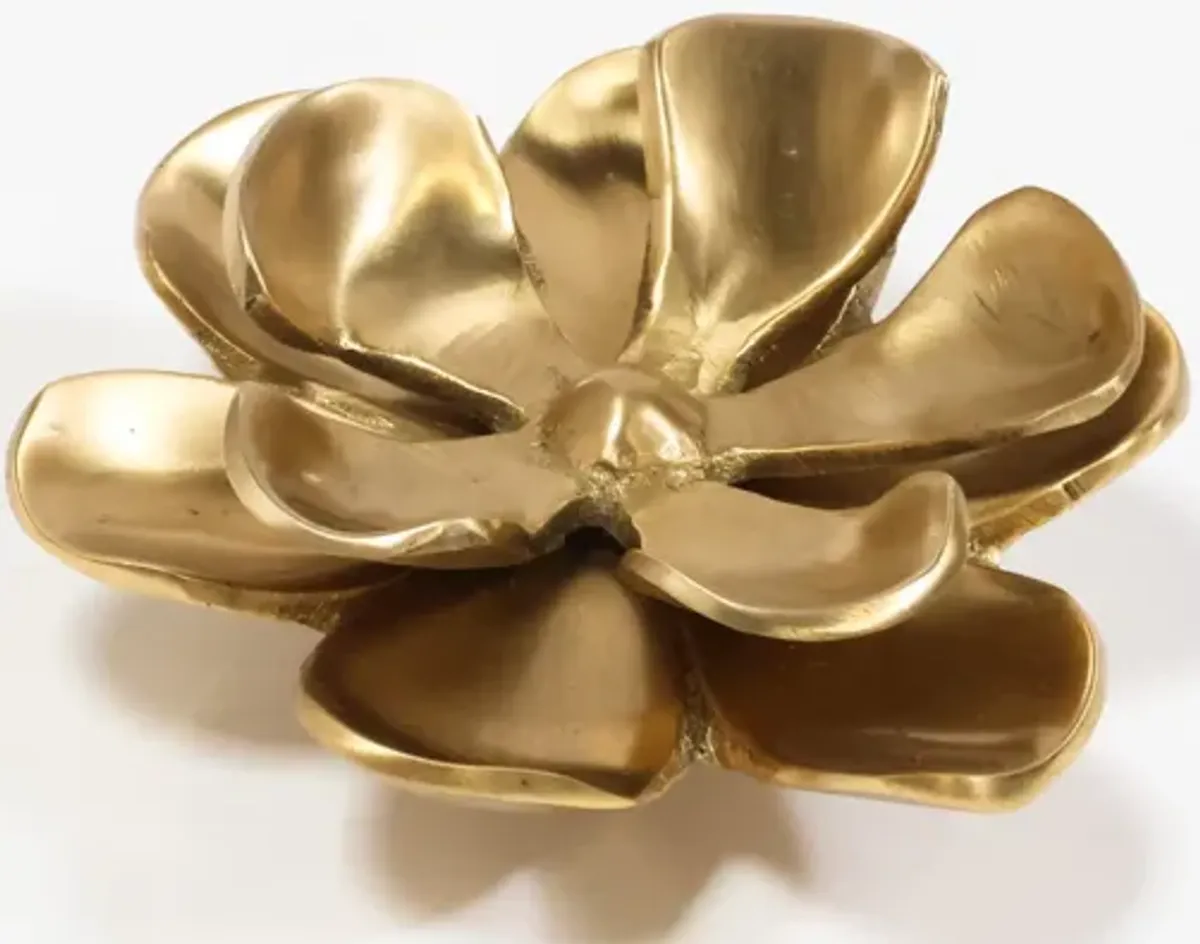 Brass Daisy Knob