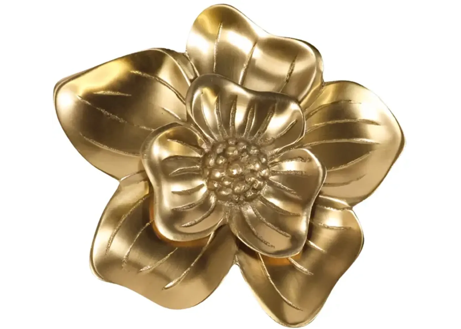 Brass Orchid Knob