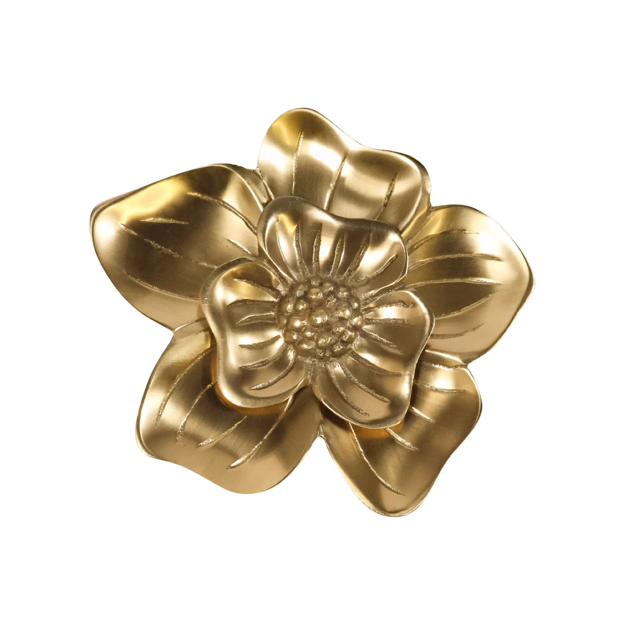 Brass Orchid Knob