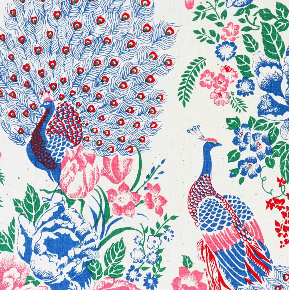 Peacock Party in Pink