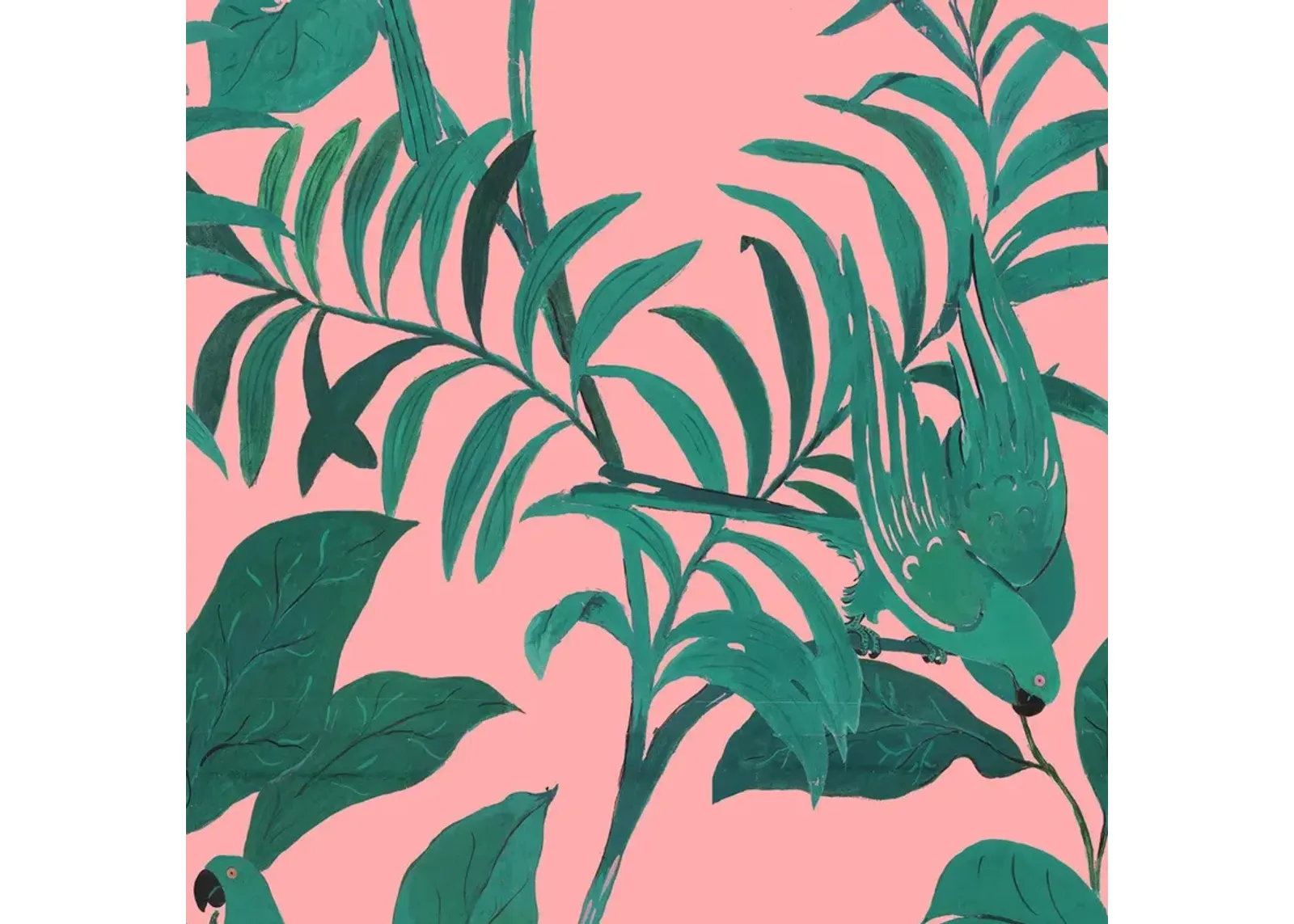 'Tropical Birds' Wallpaper in Pink & Green by Paule Marrot