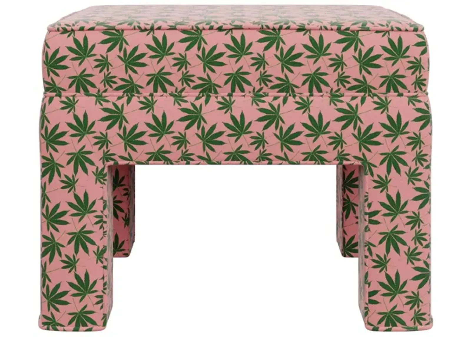 Custom Minaj Bench