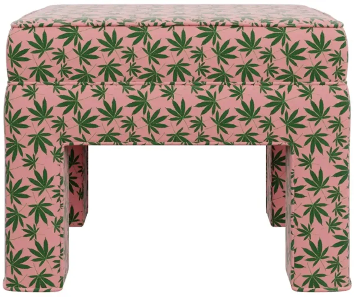 Custom Minaj Bench