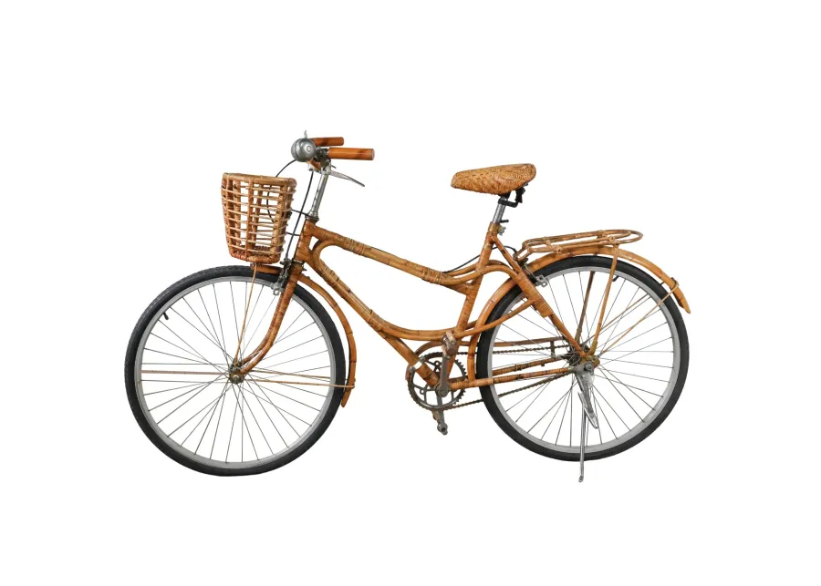 Rattan Bicycle