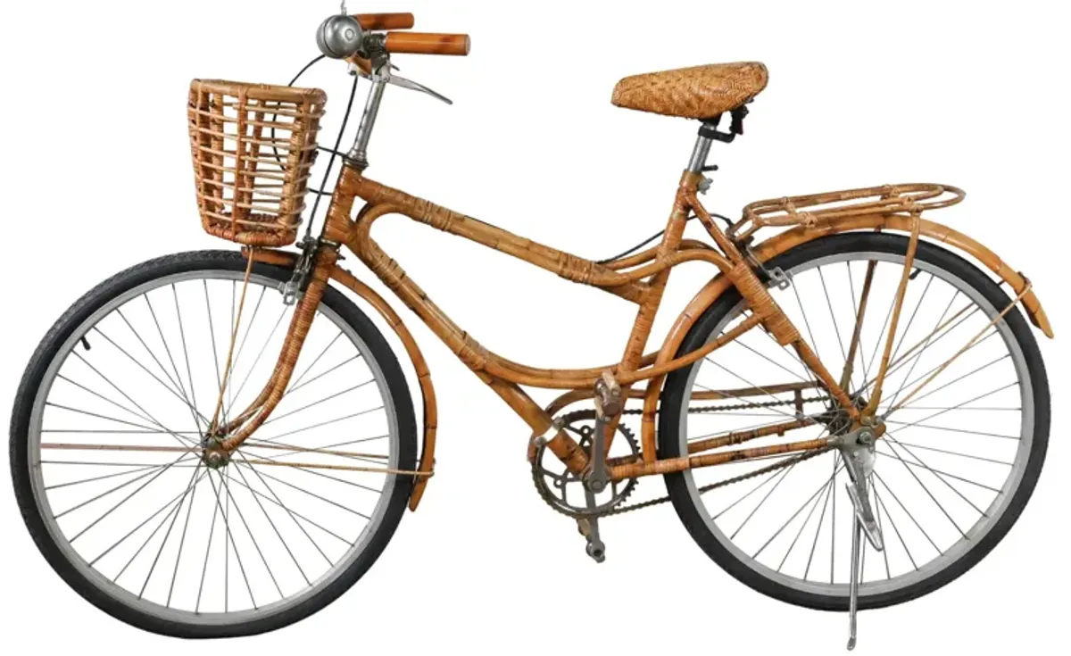 Rattan Bicycle