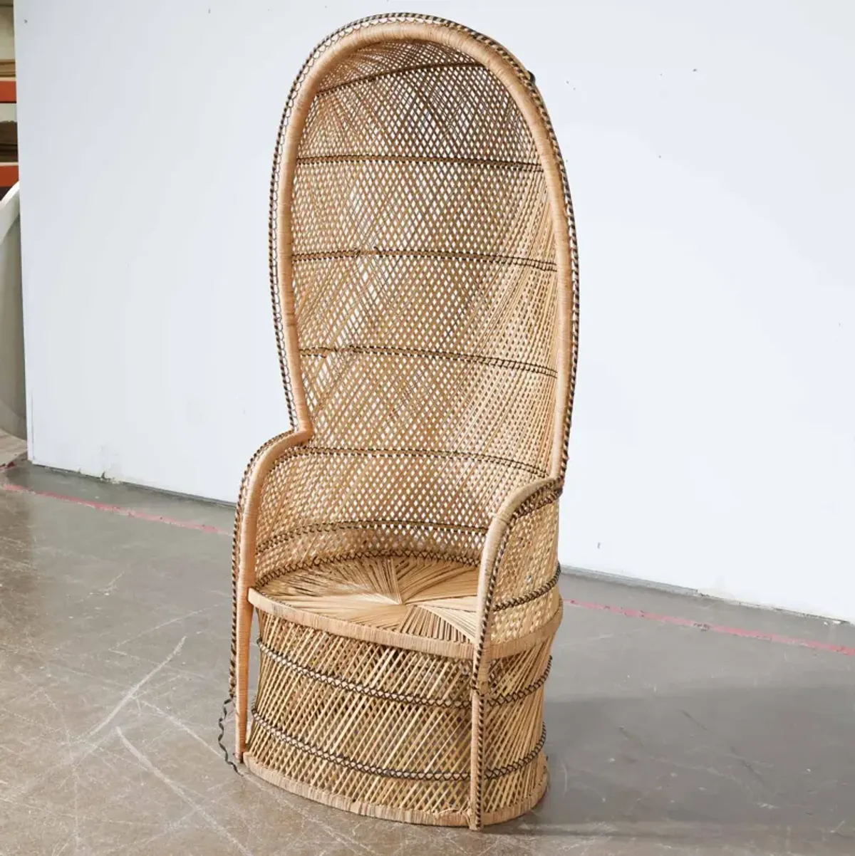 Woven Peacock Chair