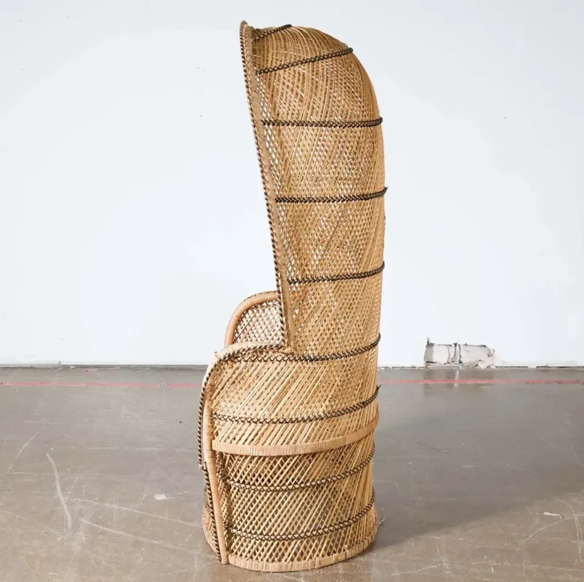 Woven Peacock Chair