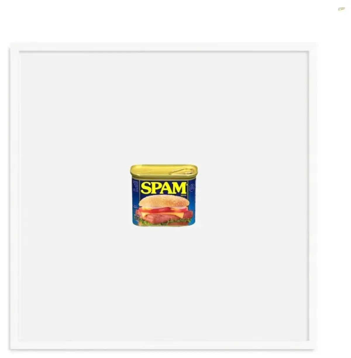 Munchies Series - Spam