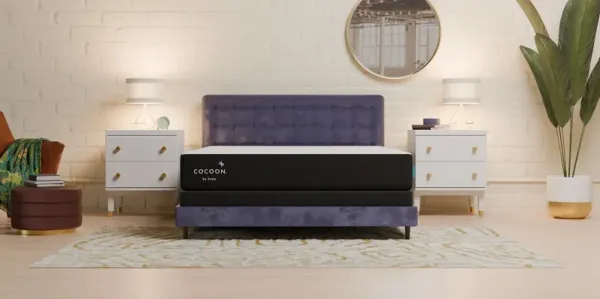 Cocoon by Sealy Chill - Full