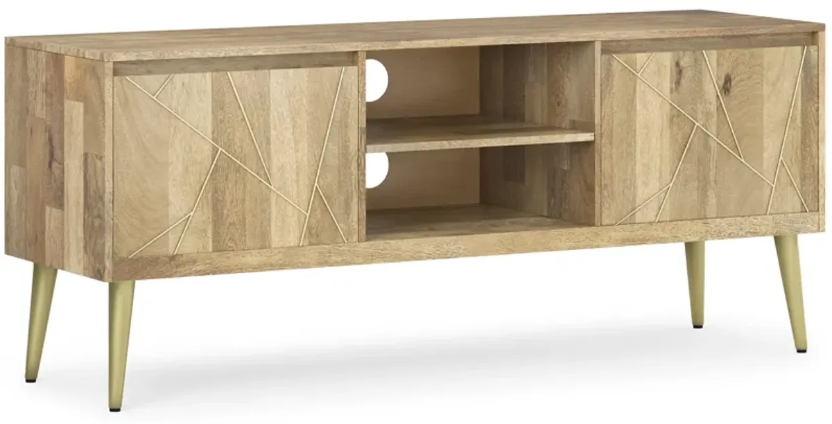 Jager TV Media Stand in Mango