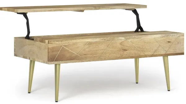 Jager Large Lift Top Coffee Table in Mango