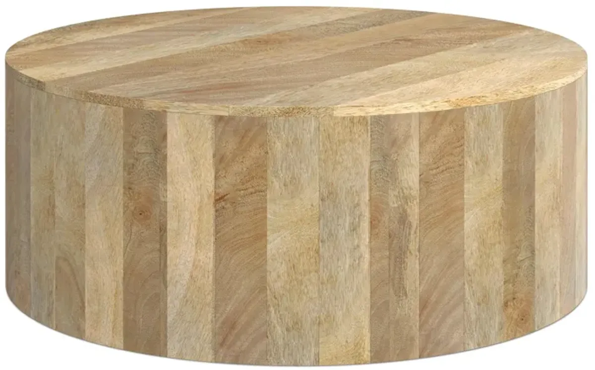 Millbury Drum Coffee Table in Mango