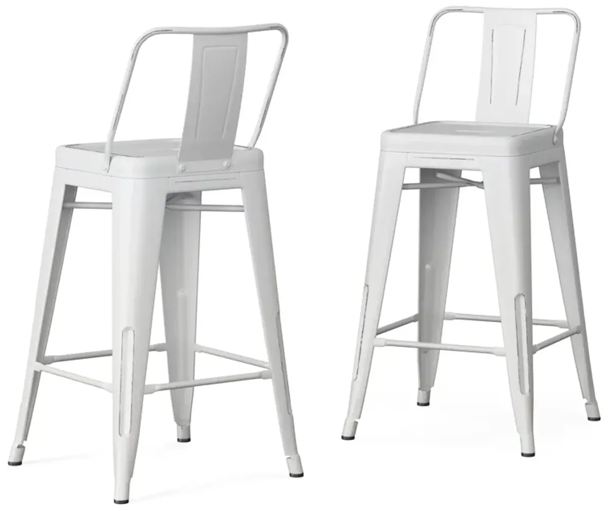 Rayne 24 inch Metal Counter Height Stool (Set of 2)