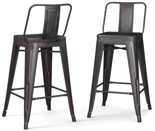 Rayne 24 inch Metal Counter Height Stool (Set of 2)