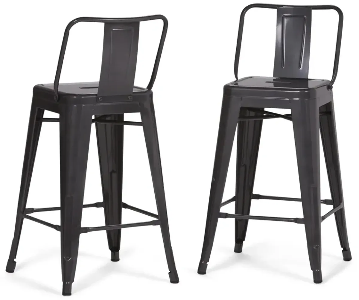 Rayne 24 inch Metal Counter Height Stool (Set of 2)