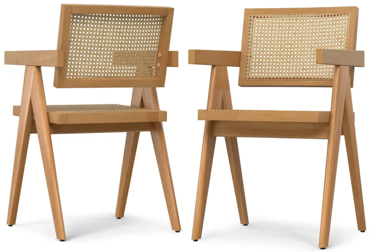 Regina Dining Arm Chair (Set of 2)