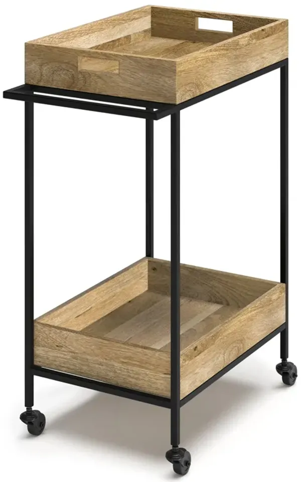Simons 24 inch Bar Cart in Mango