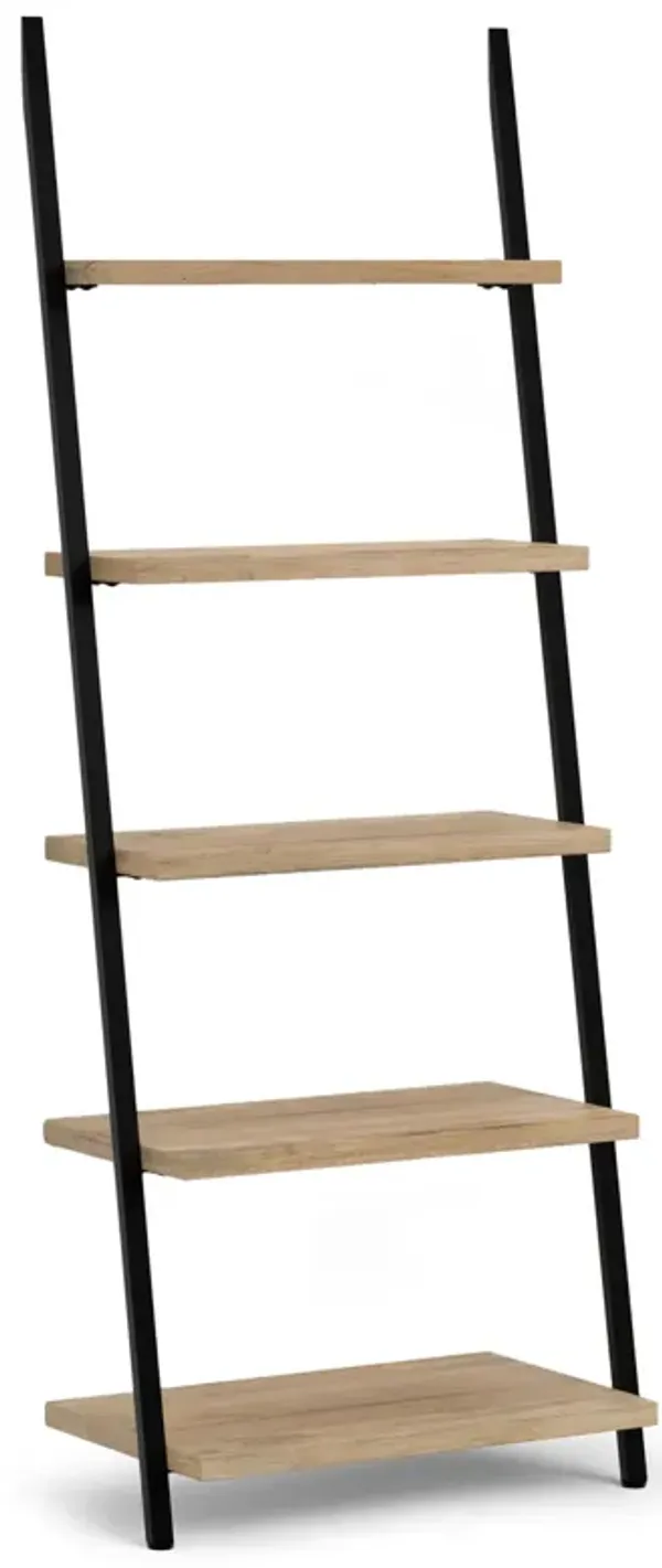 Trent Ladder Shelf