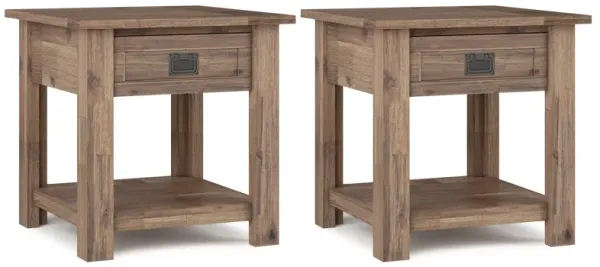 Monroe 22 inch End Table (Set of 2)