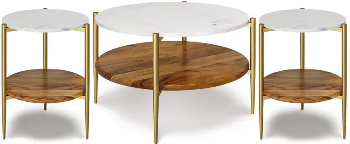 Wagner 30 inch Coffee Table with 18 inch End Tables (Set of 3)