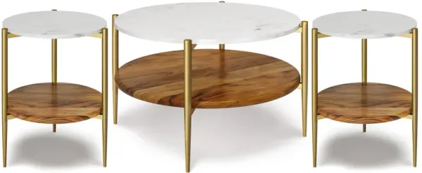Wagner 30 inch Coffee Table with 18 inch End Tables (Set of 3)