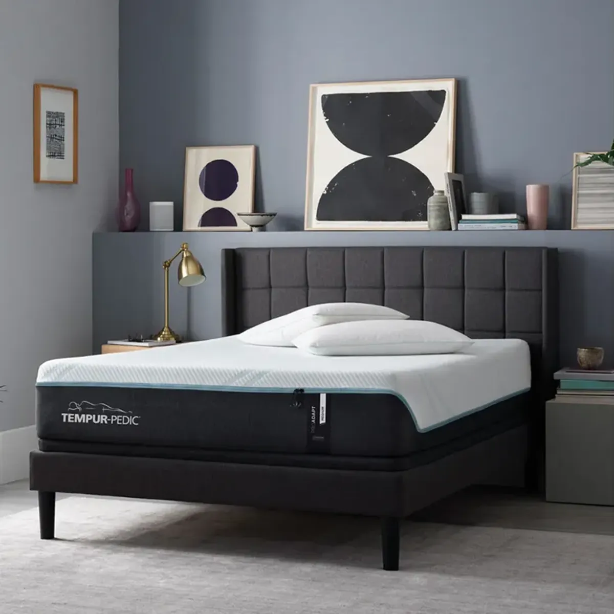 Previous Generation Tempur-Pedic TEMPUR-ProAdapt Medium Mattress