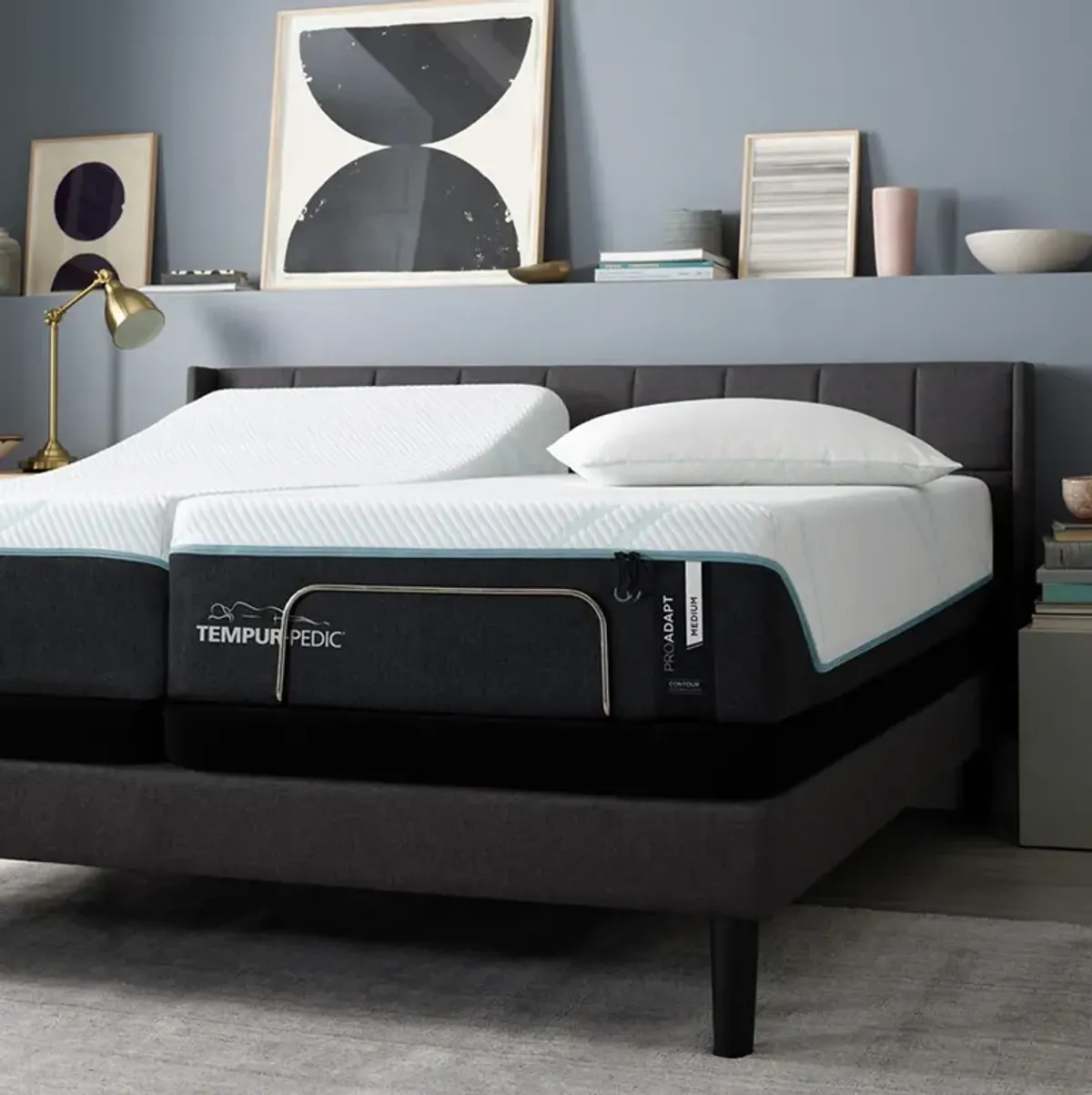 Previous Generation Tempur-Pedic TEMPUR-ProAdapt Medium Mattress