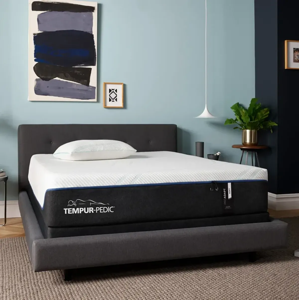 Previous Generation Tempur-Pedic TEMPUR-ProAdapt Soft Mattress