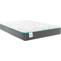 Sealy Lights Out III Twin Mattress 