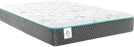 Sealy Lights Out III Full Mattress 