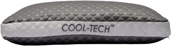 ProtectAll Healthy Sleep CoolTech Low Profile Pillow