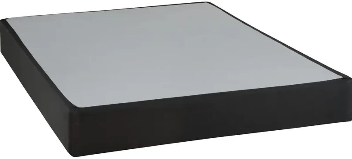 Sealy Black Foundation