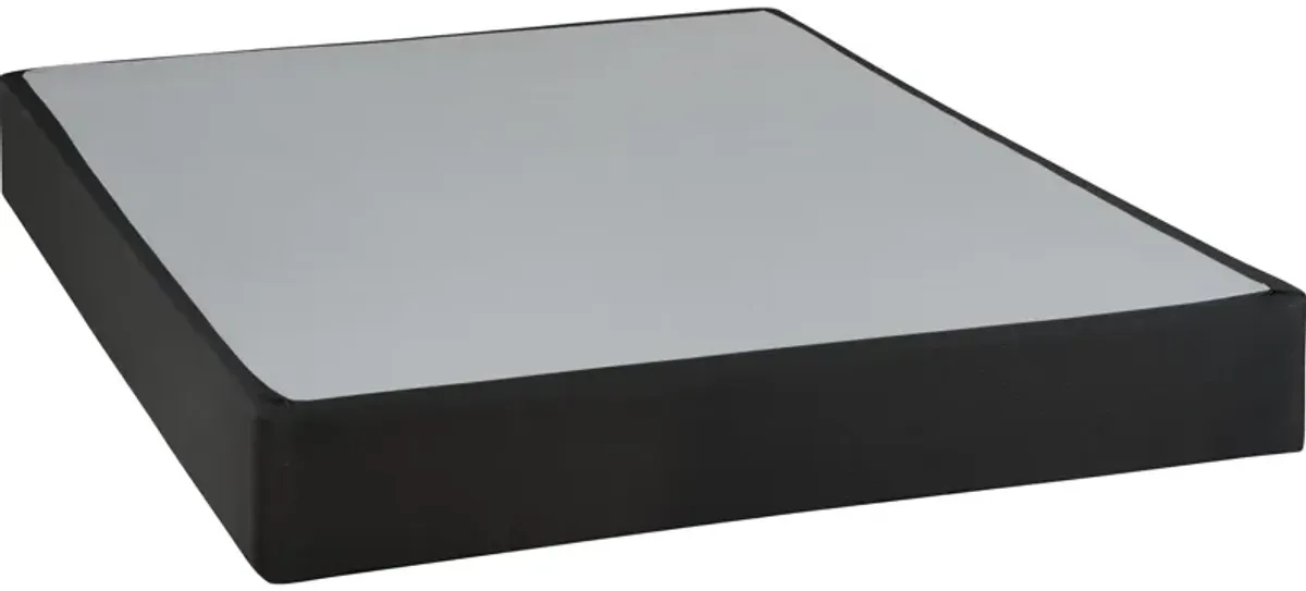 Sealy Black Foundation