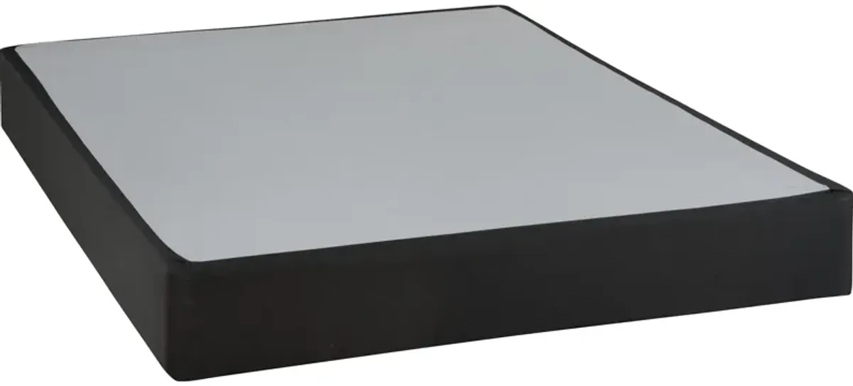 Sealy Black Foundation