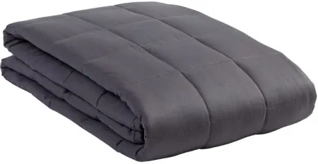Zensory Dove Gray 15 Pound Weighted Blanket