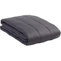 Zensory Dove Gray 20 Pound Weighted Blanket