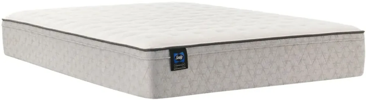 Sealy Winter Green Medium Mattress