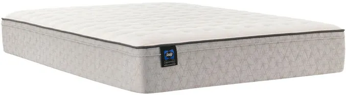 Winter Green Medium Twin Mattress