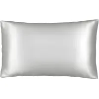 PureSilk Queen Silver Silk Pillowcase